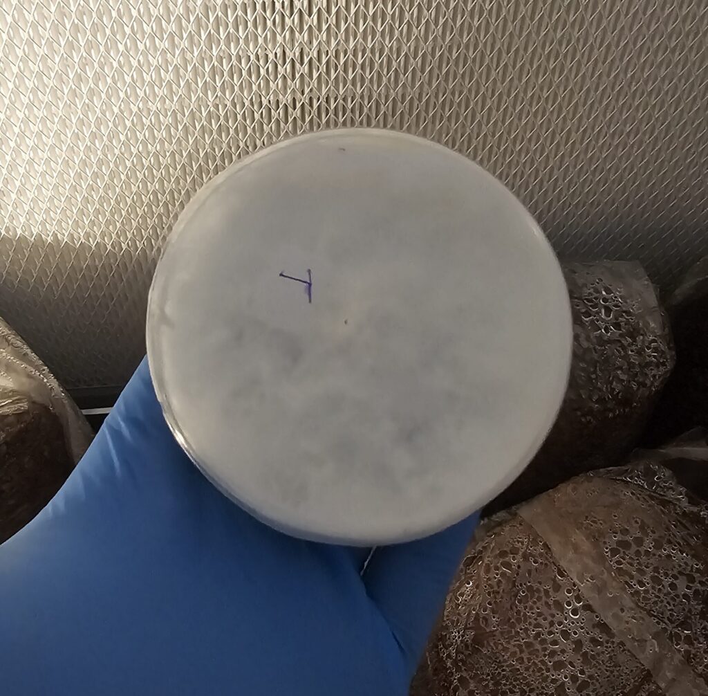 20250511 160227